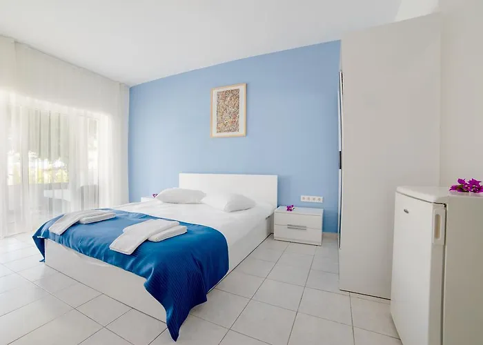 B&B Fiko 골터크부쿠